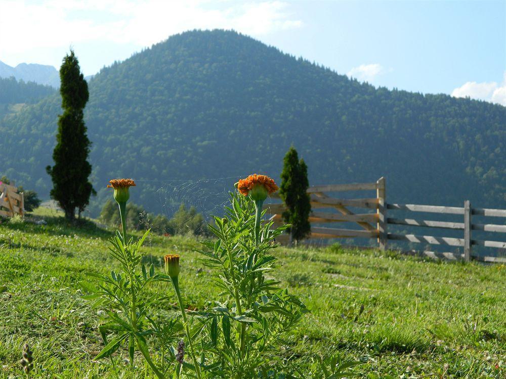 Nobillis - Carpathian Residence Peştera Exterior foto